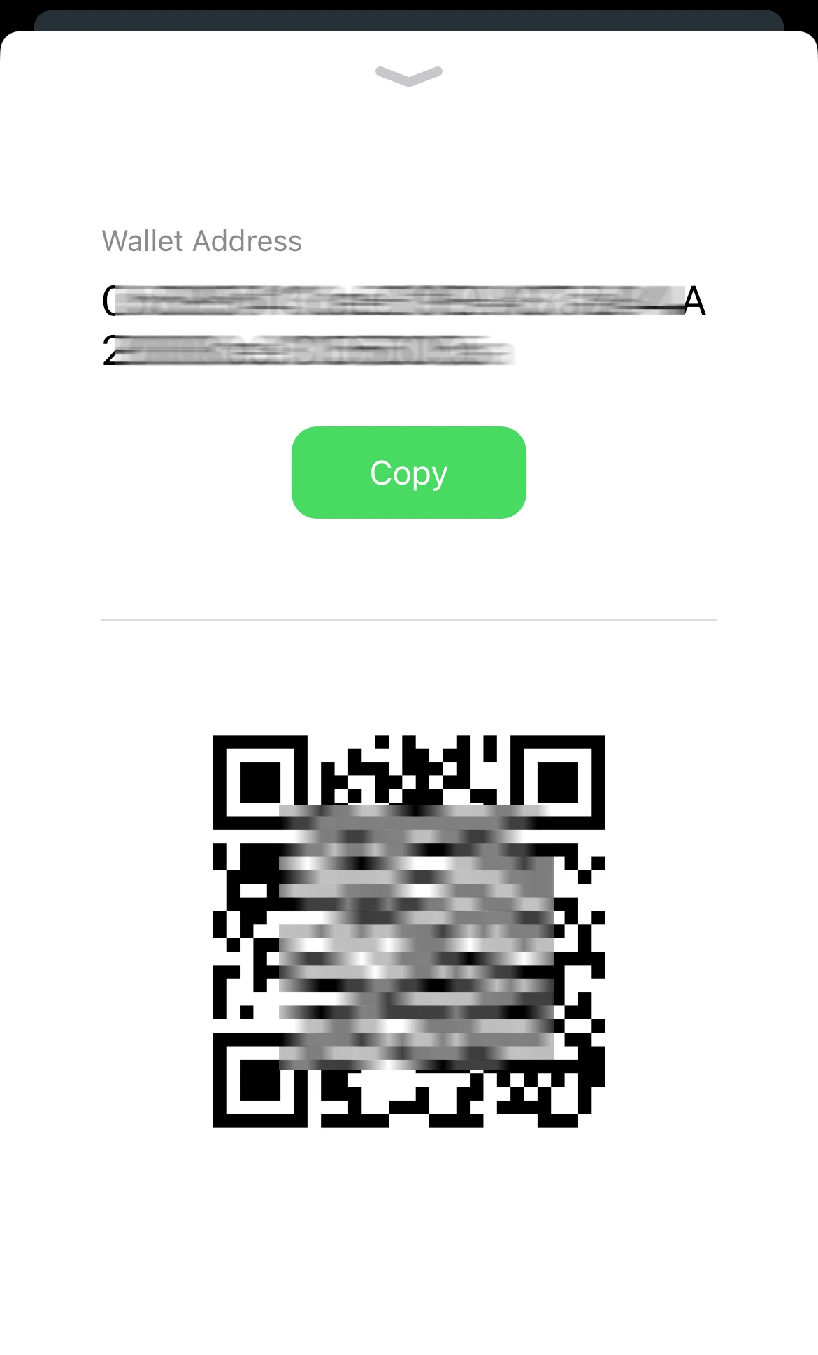 Wallet address and QR code