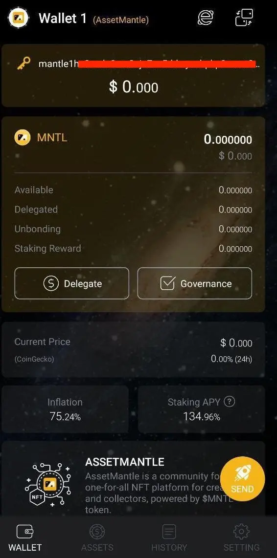 6_Asset_Mantle_wallet_created.webp