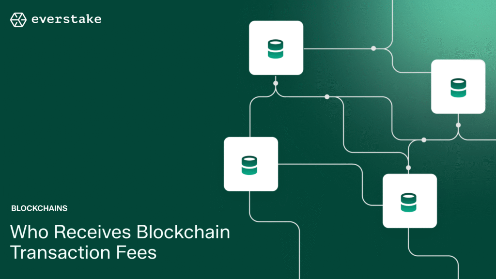Blockchain transaction fees