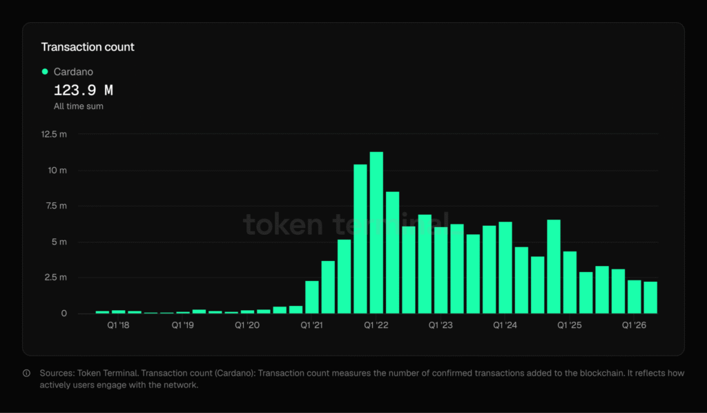 cardano 9 birthday - chain activity