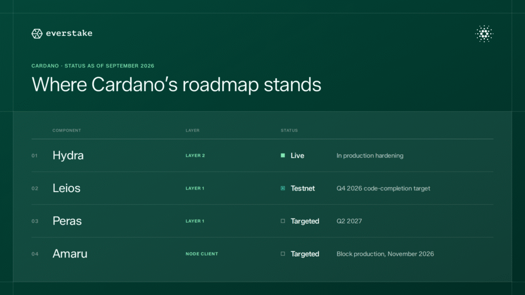cardano 9 birthday - roadmap