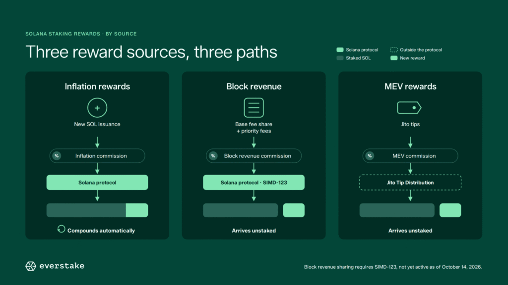 SIMD-123 Explained